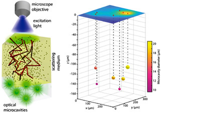 Paper in Nature Communication