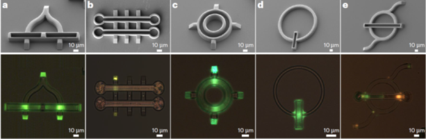 Članek v reviji Nature Photonics