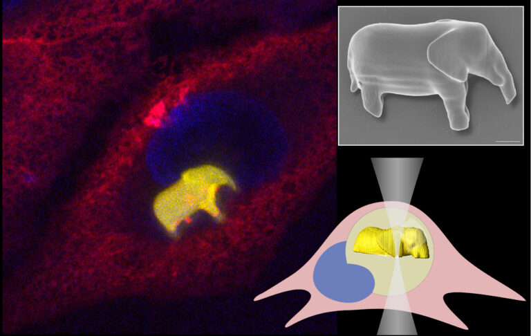 Članek v reviji Advanced Materials