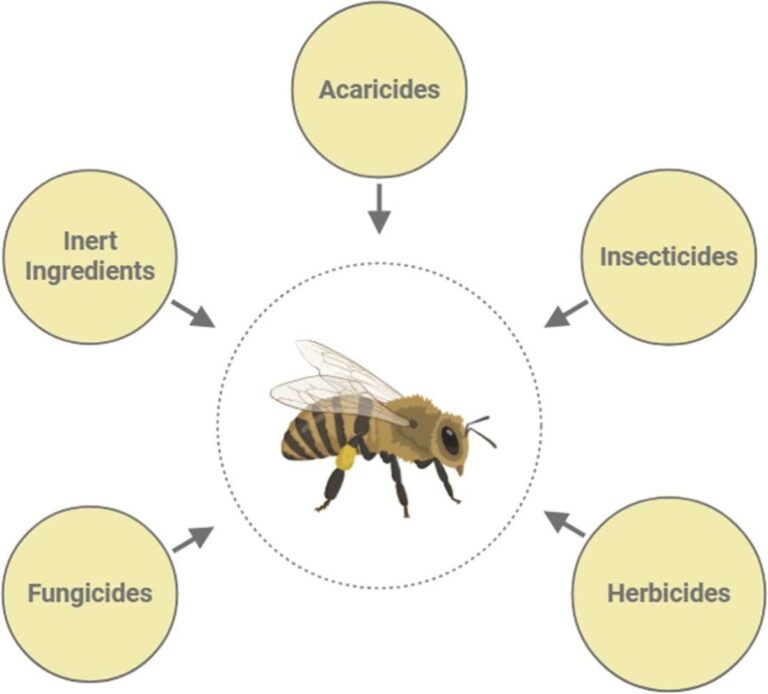 Kontaminacija čebeljih pridelkov s pesticidi