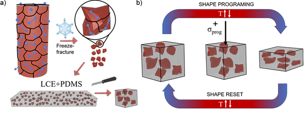 Mechanical anisotropy in compressive-stress shape-programmed liquid crystal elastomers and polymer-dispersed liquid crystal elastomer composites