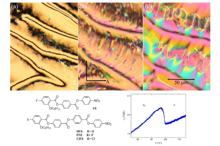 The effect of fluorine or chlorine substitution on mesomorphic properties of ferroelectric nematic liquid crystals
